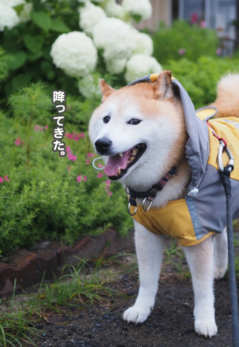 22日夕ブログ２