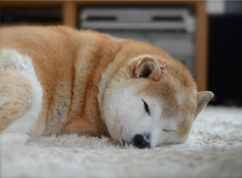 28日ブログ4.jpg