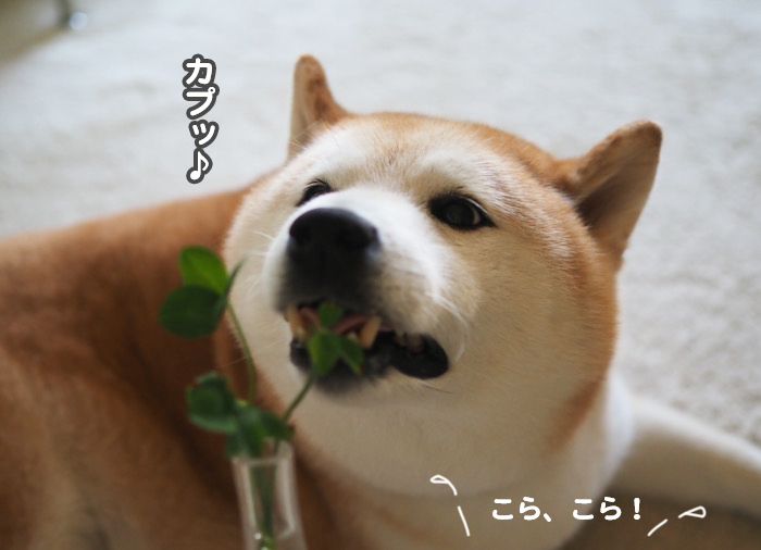 28日ブログ4