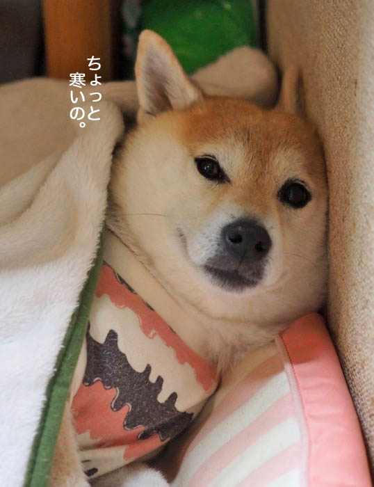 1日夜ブログ２