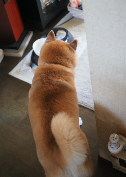 28日ブログ１