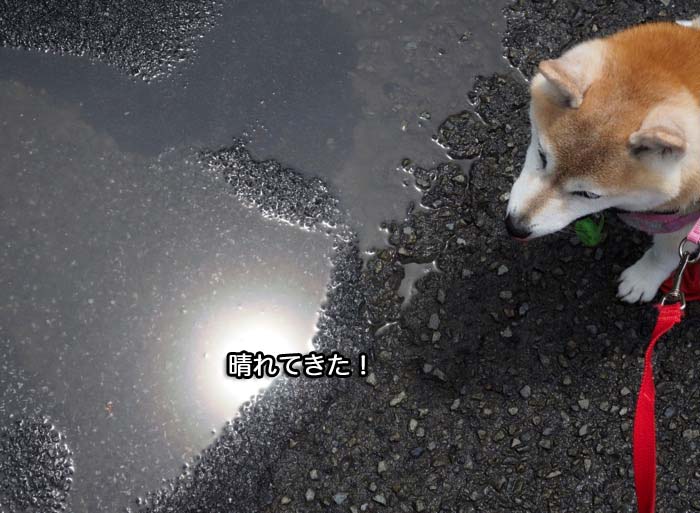 14日ブログ２
