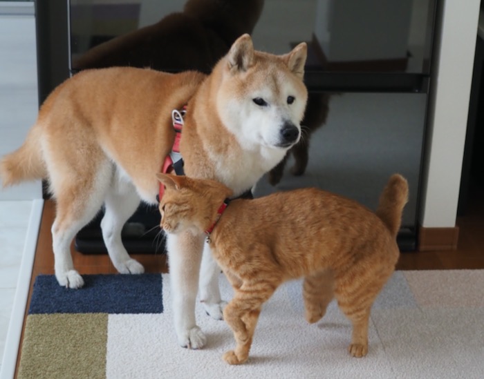 17日ブログ２