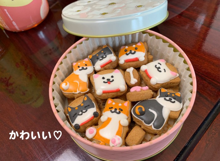 29日夕ブログ６