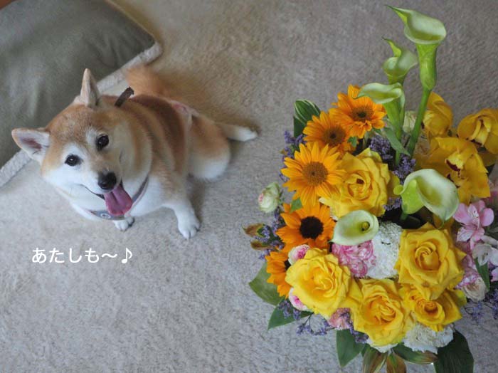 6日ブログ5