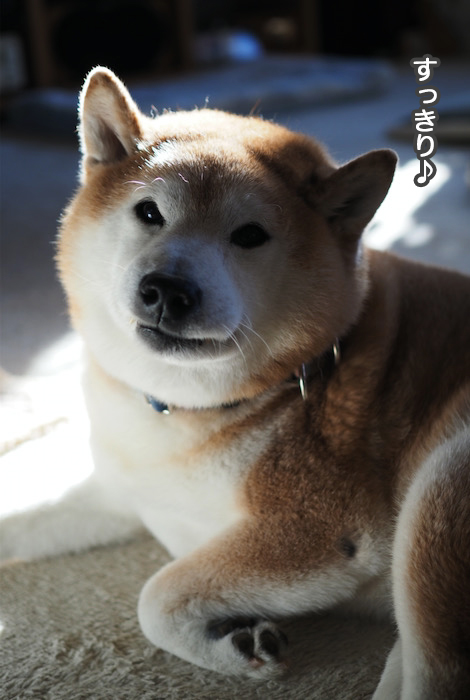 13日ブログ３