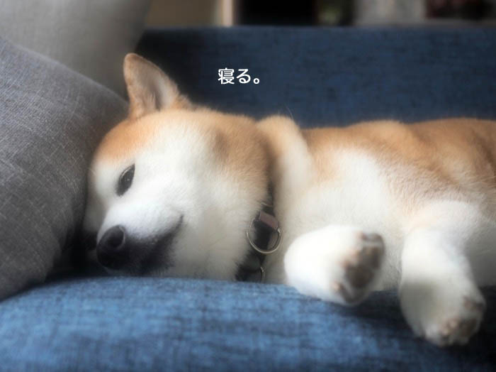 16日ブログ３