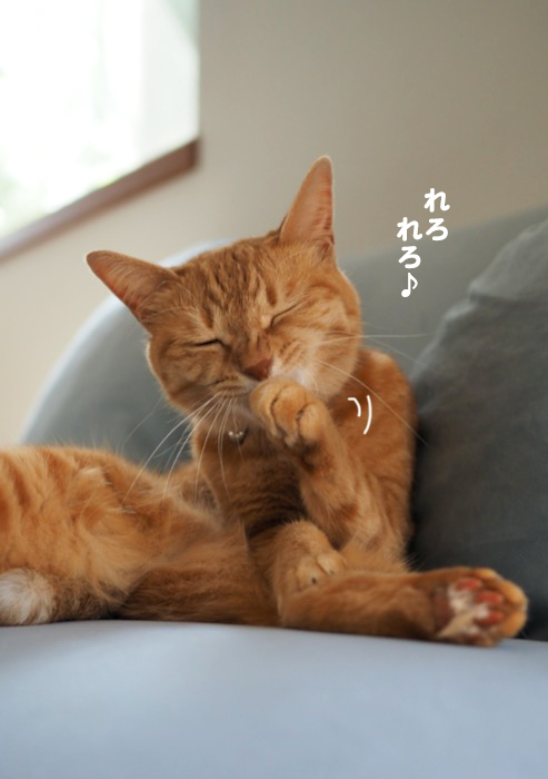 3日夕ブログ３