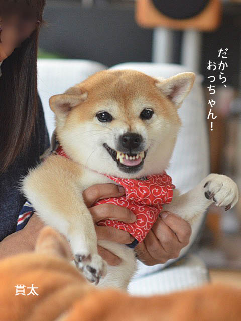 29日ブログ12