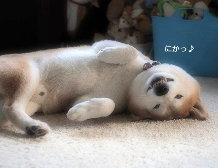 20日ブログ３