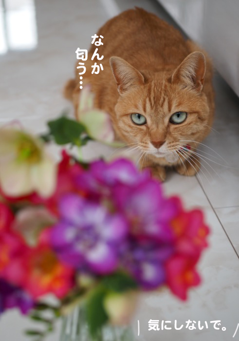 8日ブログ３