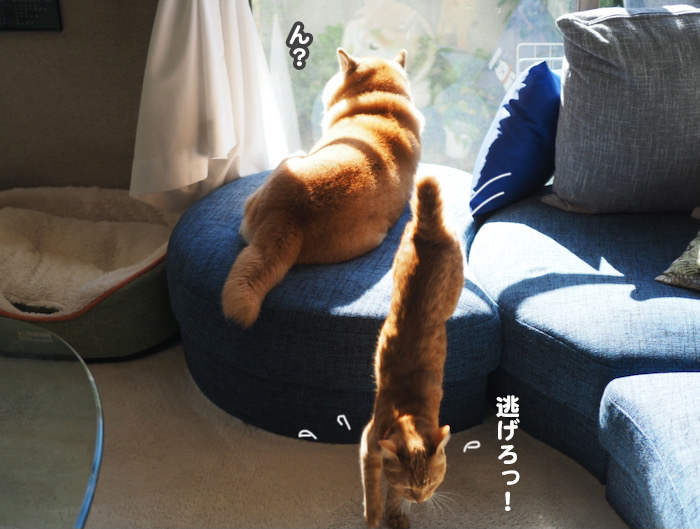 27日ブログ５