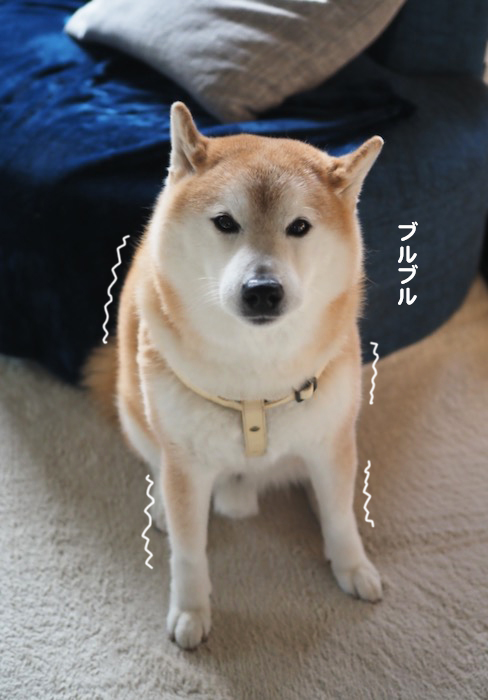 7日夕ブログ９