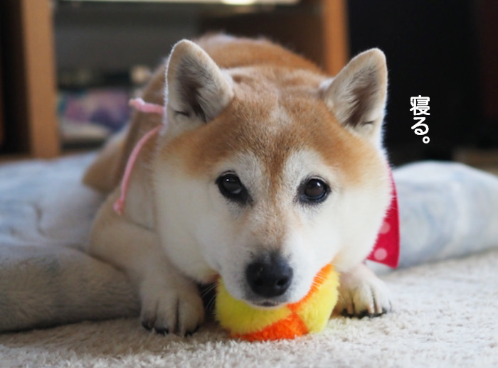 25日夜ブログ７