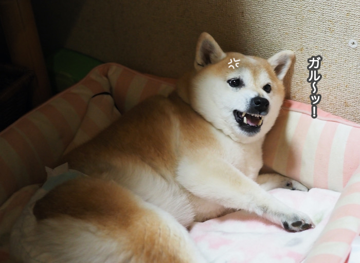 24日夜ブログ５