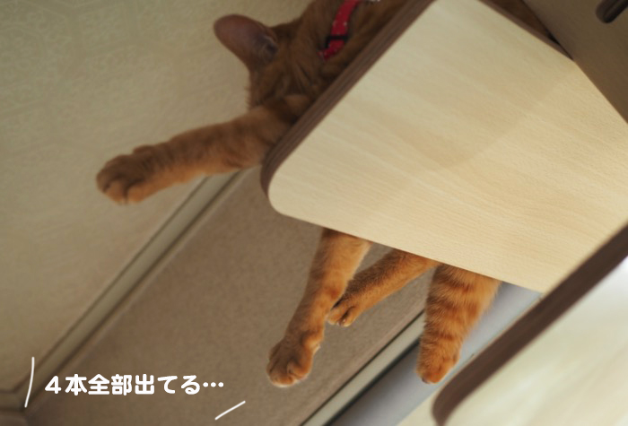 8日ブログ３