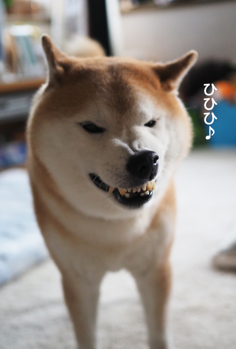 6日夕ブログ９