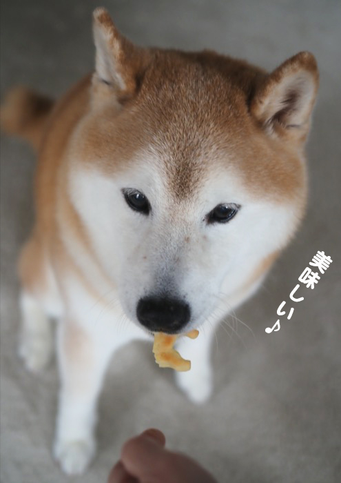 7日夕ブログ７