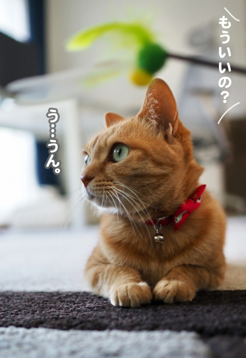 20日夕ブログ６