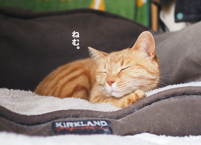 17日ブログ１２