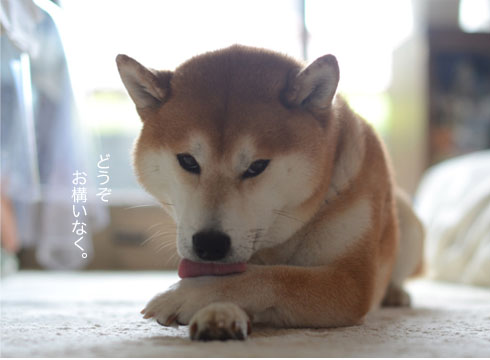 8日ブログ12.jpg