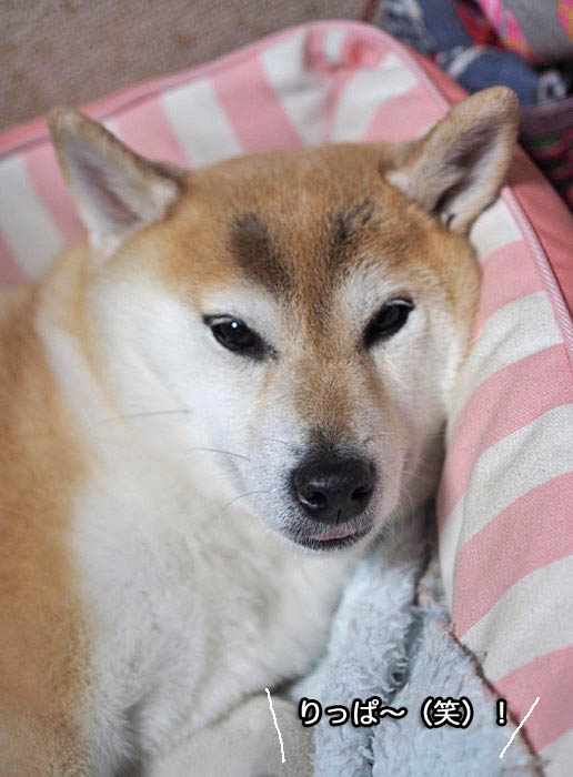 1日ブログ２