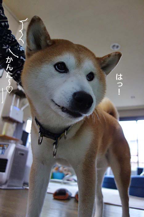 2日夜ブログ９
