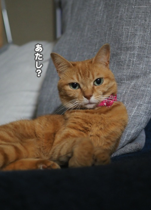 29日ブログ１