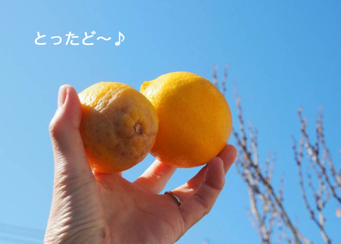 20日夜ブログ１０