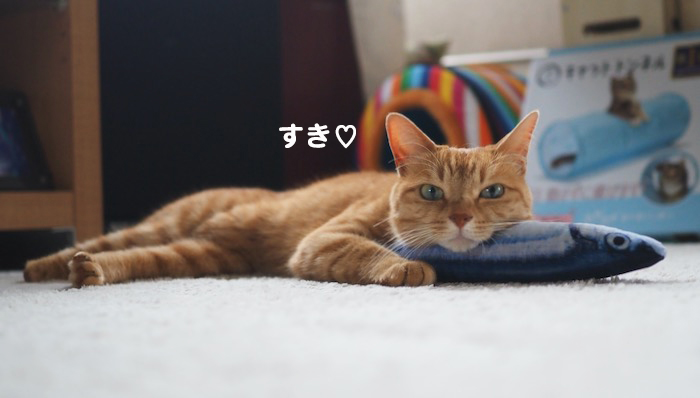 17日夕ブログ３