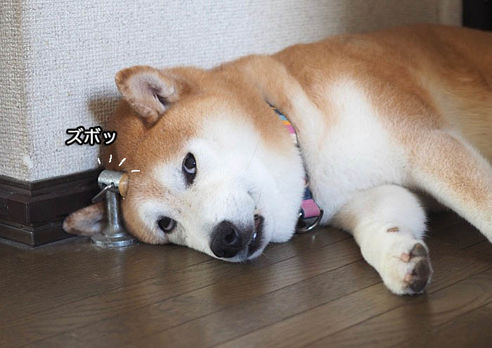29日ブログ２
