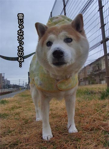 6日ブログ2.jpg