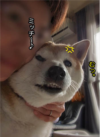 25日ブログ8.jpg