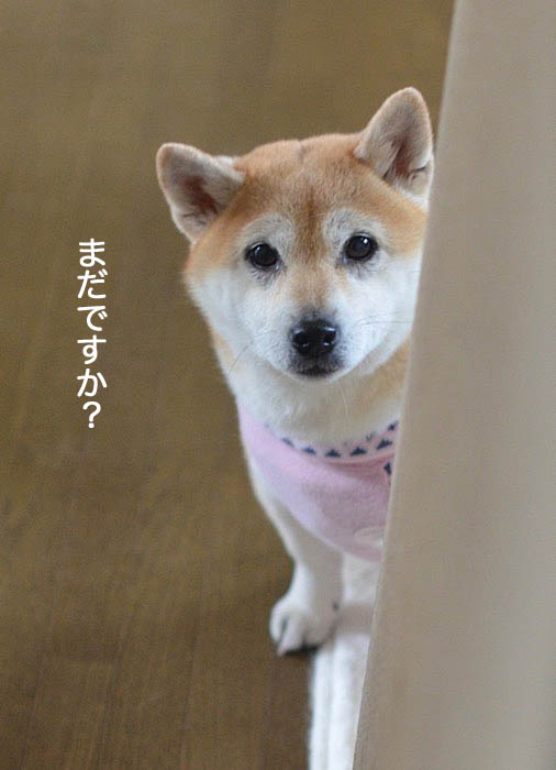 17日ブログ２