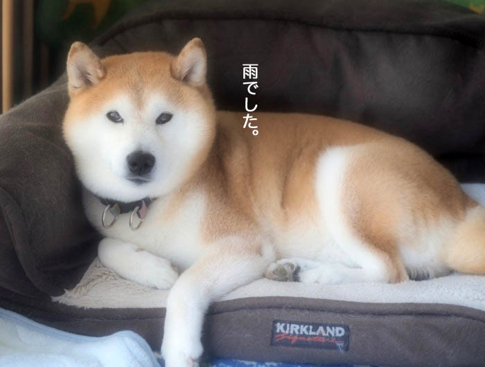 4日ブログ４