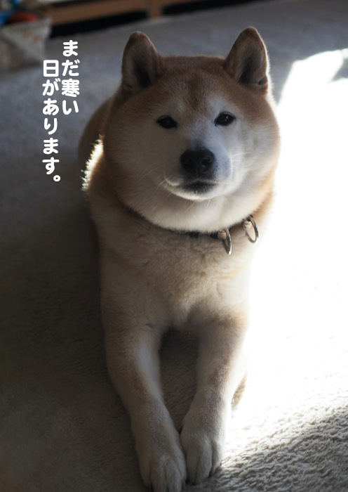 25日ブログ2