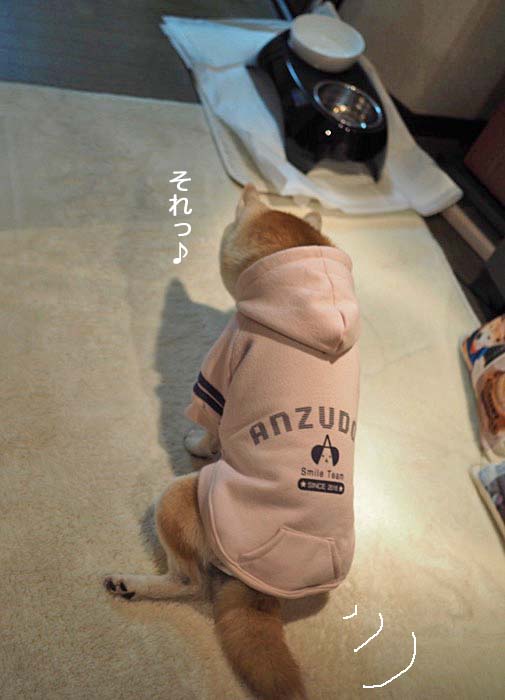 17日夜ブログ９