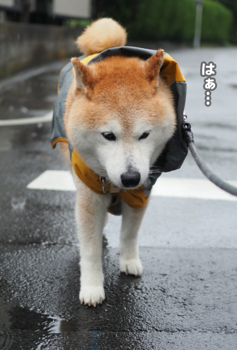 3日ブログ２