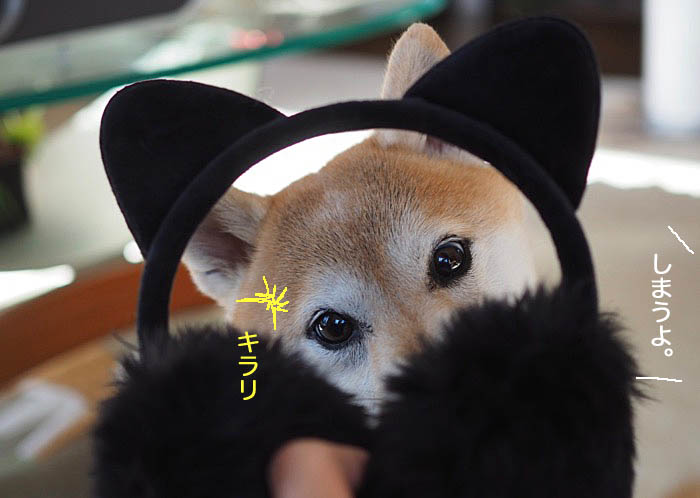 15日夜ブログ２