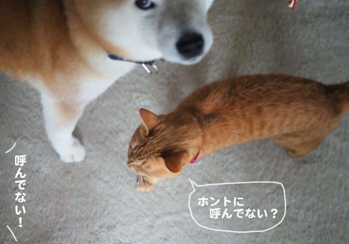 19日ブログ５