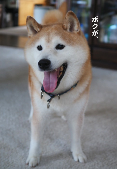 5日夕ブログ２