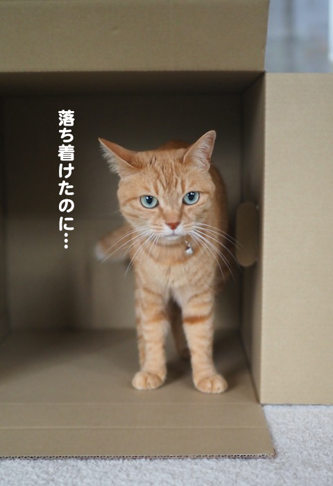 2日夕ブログ２