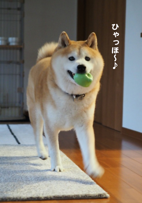 6日夕ブログ３