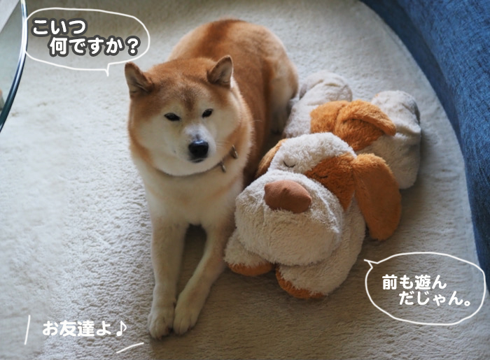 29日夜ブログ2