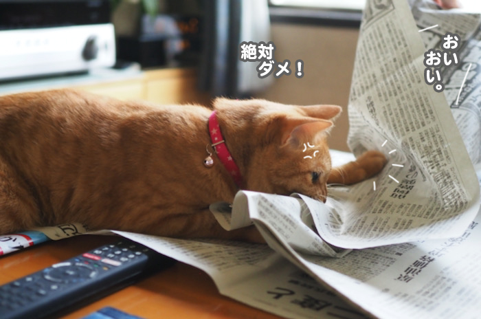 2日夕ブログ５