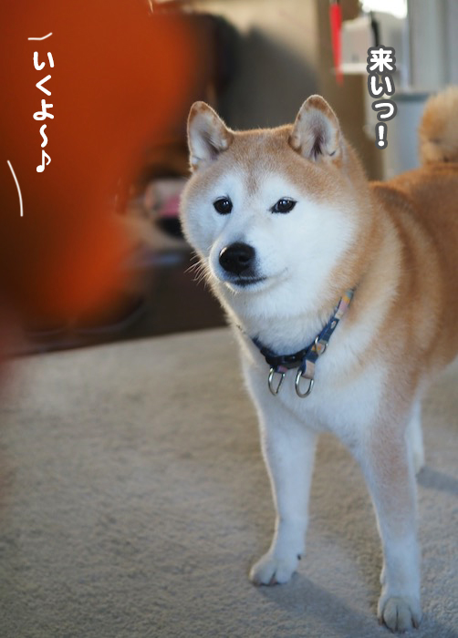 23日夕ブログ５