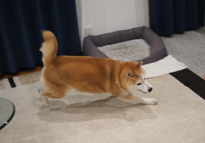 22日夕ブログ８
