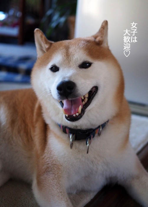 31日午前ブログ７