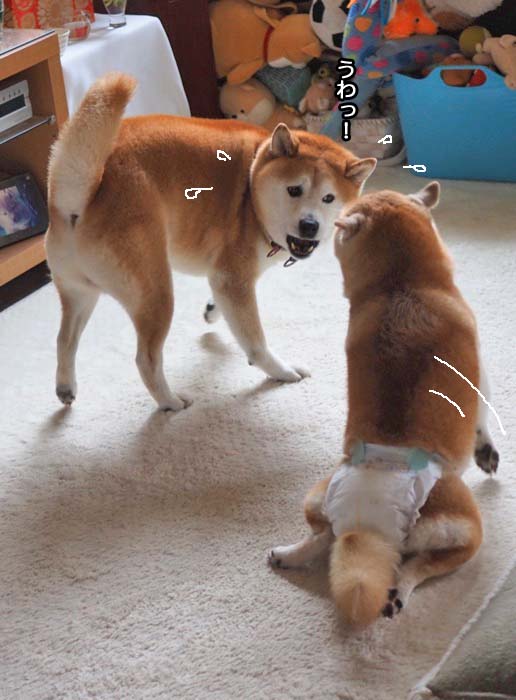 28日夜ブログ９