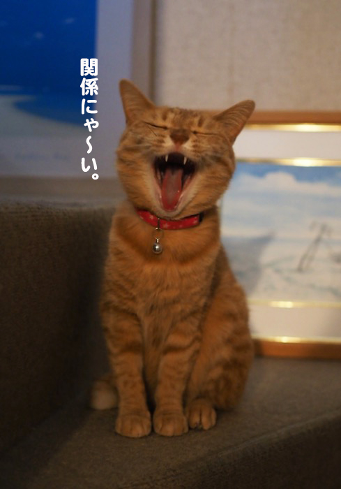 8日ブログ５